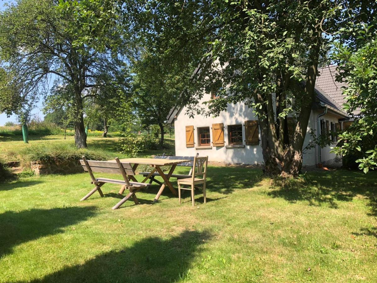 Klimatyczny Dom Kopaczowka Przytulna Miejscowka Z Kominkiem, Sauna I Ogrodem U Podnoza Gor Stolowych رادكوف المظهر الخارجي الصورة