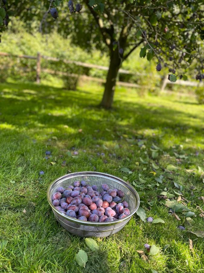 Klimatyczny Dom Kopaczowka Przytulna Miejscowka Z Kominkiem, Sauna I Ogrodem U Podnoza Gor Stolowych رادكوف المظهر الخارجي الصورة